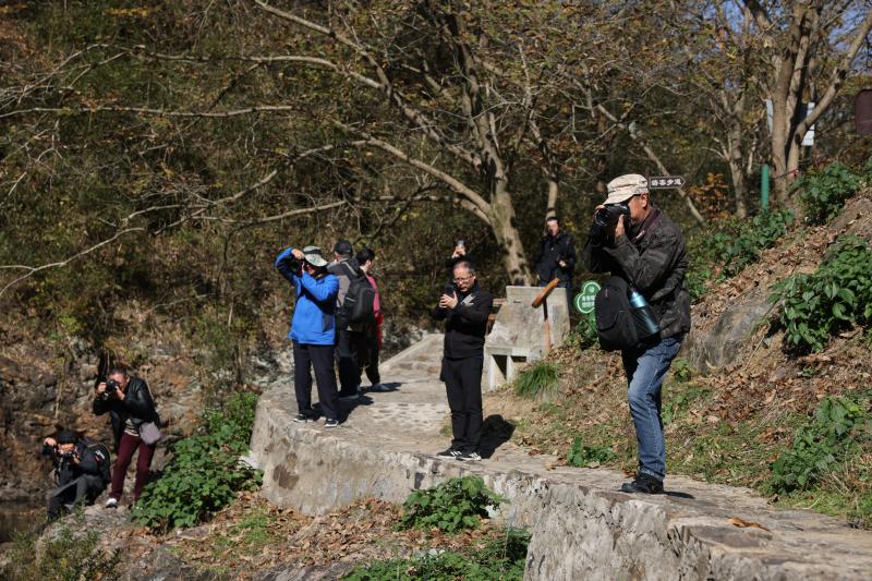 曉天鎮(zhèn)：省市攝影家一行聚焦大別山狼谷景區(qū)