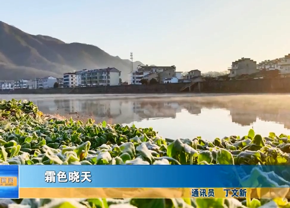 霜色曉天